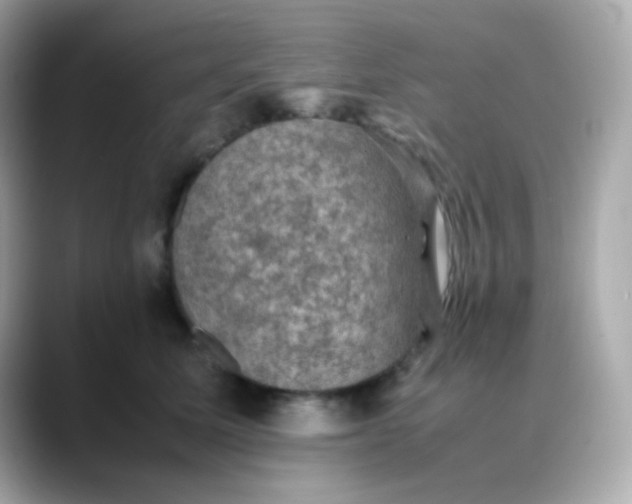 X0000088400611200706051137