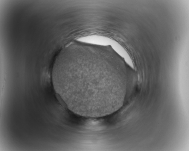 X0000088400613200706051137