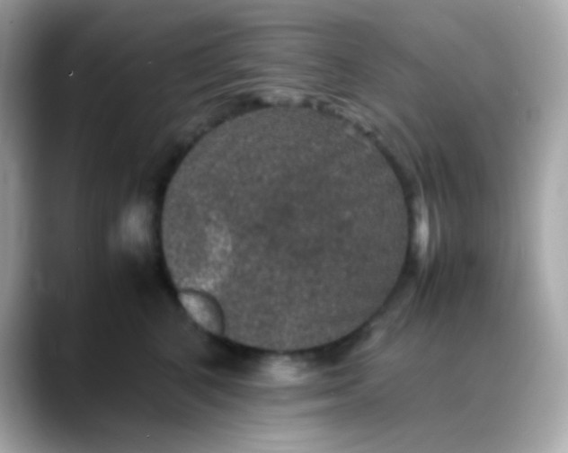 X0000088400616200706051137