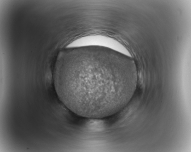 X0000088400617200706051137