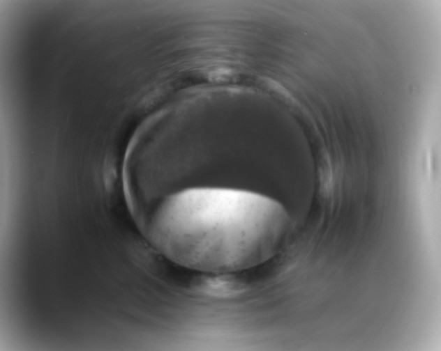 X0000088400618200706051137