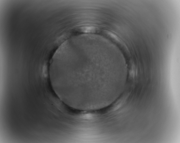 X0000088400620200706051137