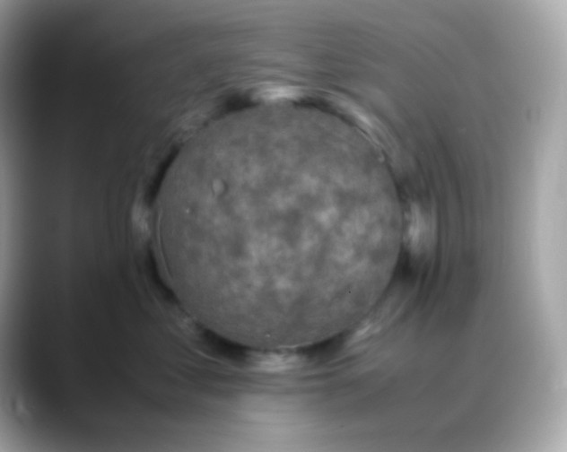 X0000088400621200706051137