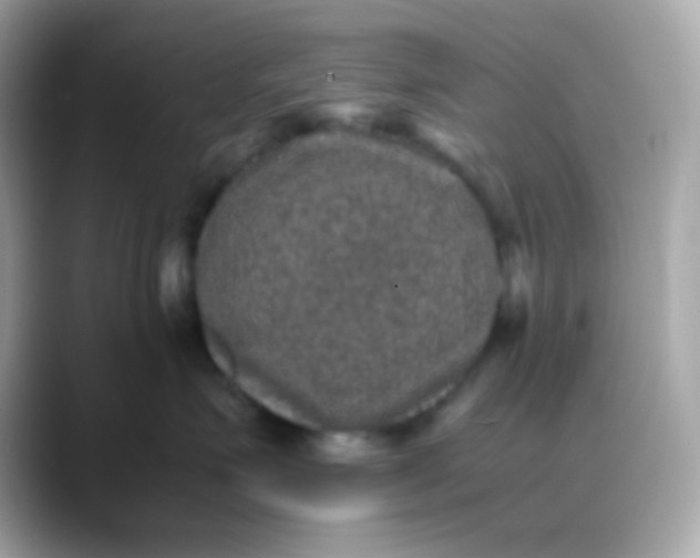 X0000088400623200706051137