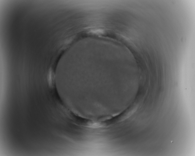 X0000088400624200706051137