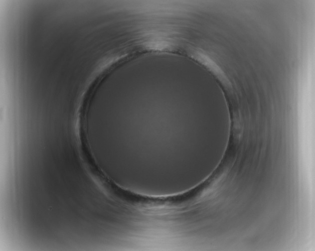 X0000088400626200706051136