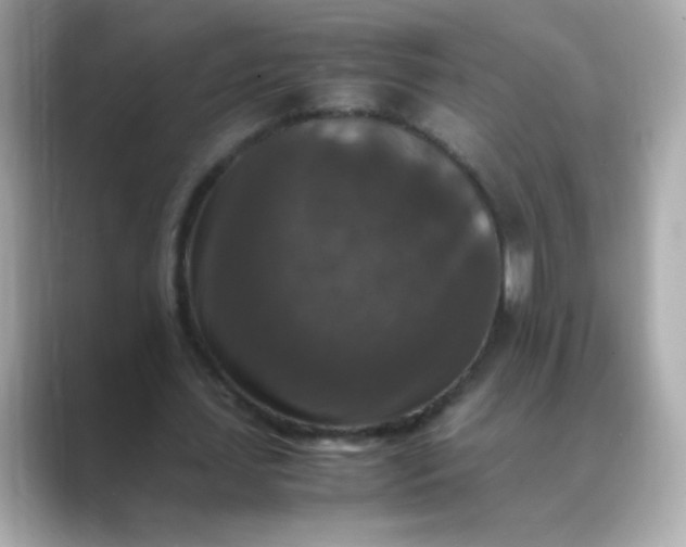 X0000088400627200706051136