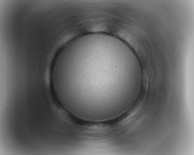 X0000088400631200706051136