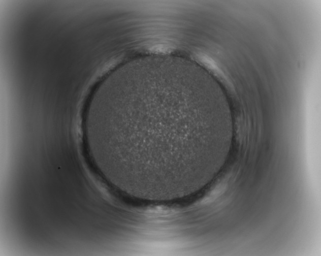 X0000088400634200706051136