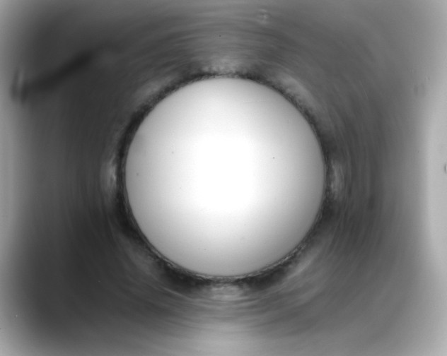 X0000088400636200706051136