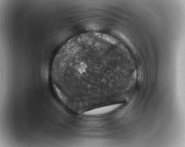 X0000088400637200706051136