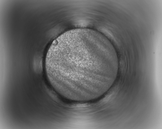 X0000088400638200706051136