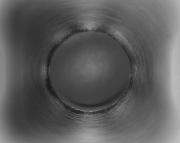 X0000088400640200706051136