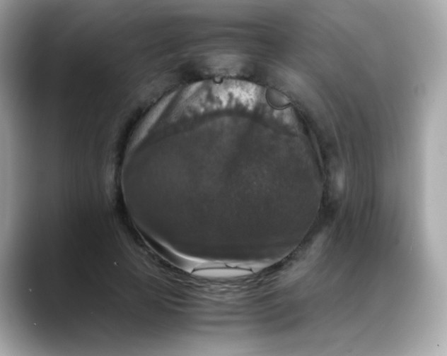 X0000088400641200706051136