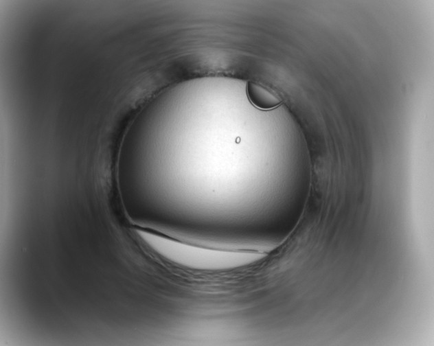 X0000088400642200706051136