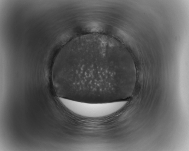 X0000088400643200706051136