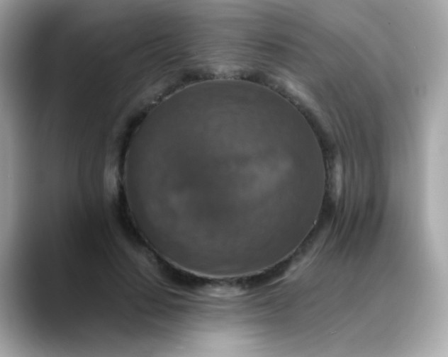 X0000088400644200706051136