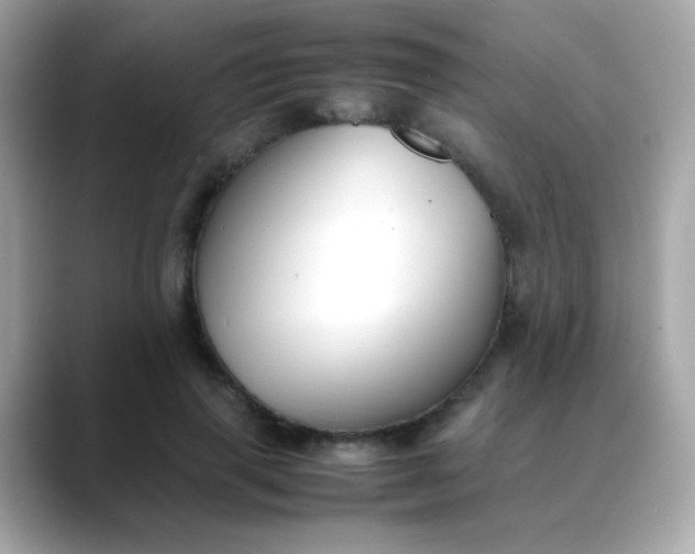 X0000088400645200706051136