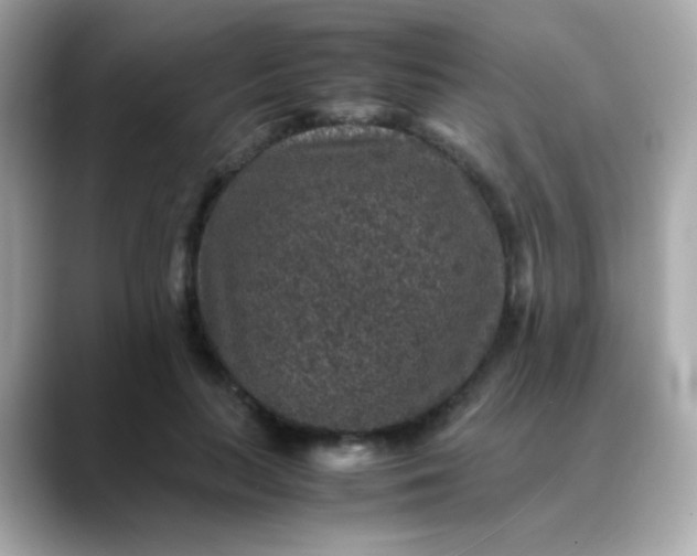 X0000088400647200706051136