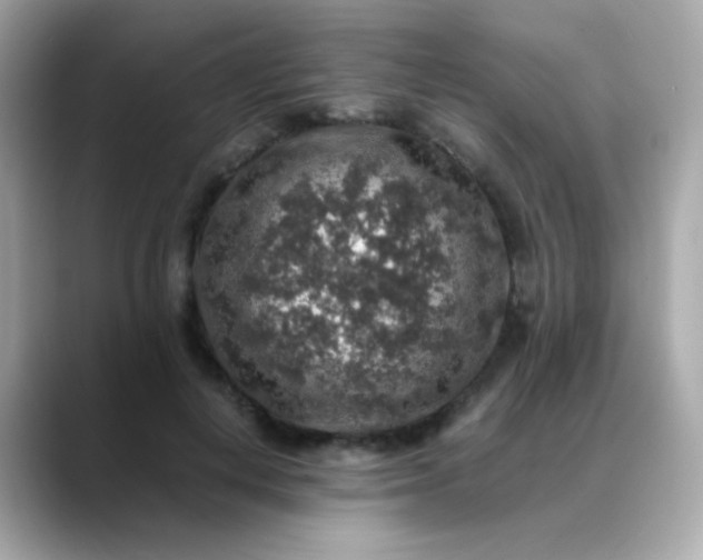 X0000088400648200706051136