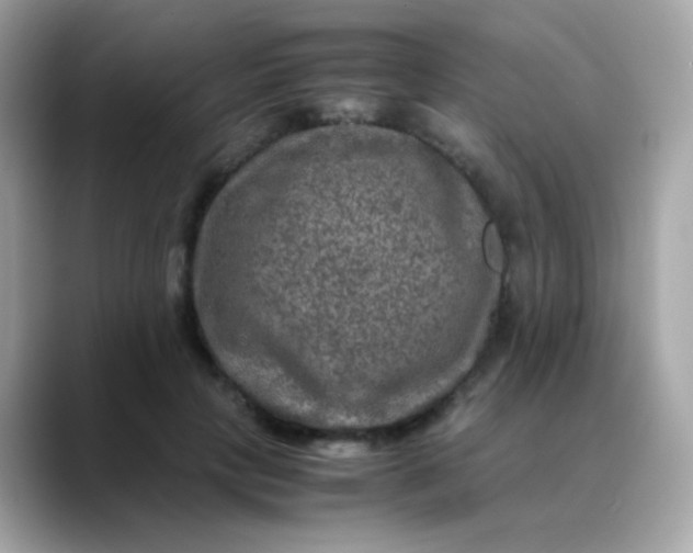 X0000088400649200706051136