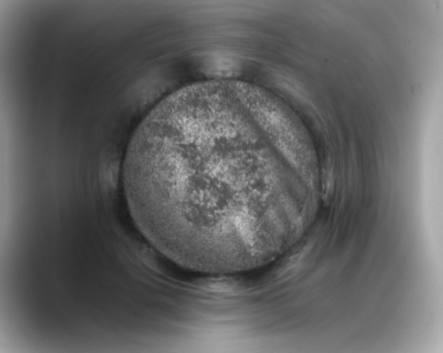 X0000088400652200706051136