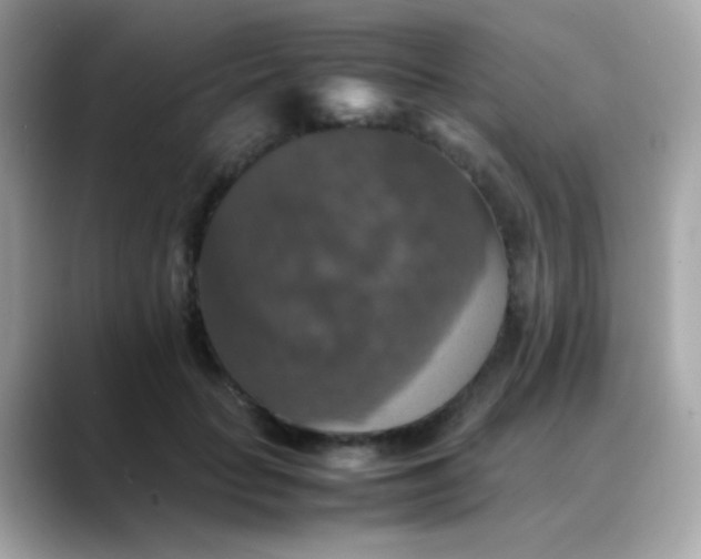 X0000088400653200706051136