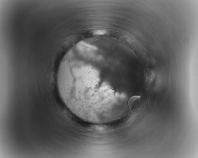 X0000088400654200706051136