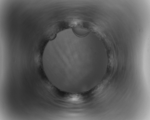 X0000088400659200706051137