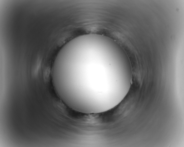 X0000088400660200706051137