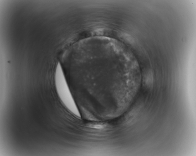 X0000088400661200706051137