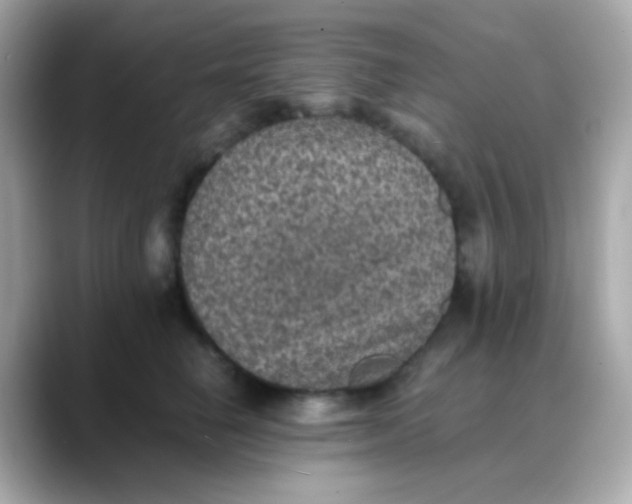 X0000088400662200706051137