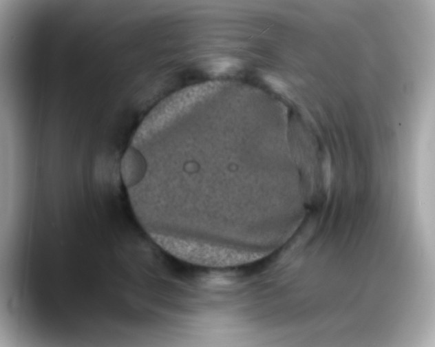 X0000088400664200706051137