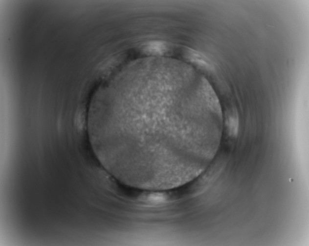 X0000088400665200706051137