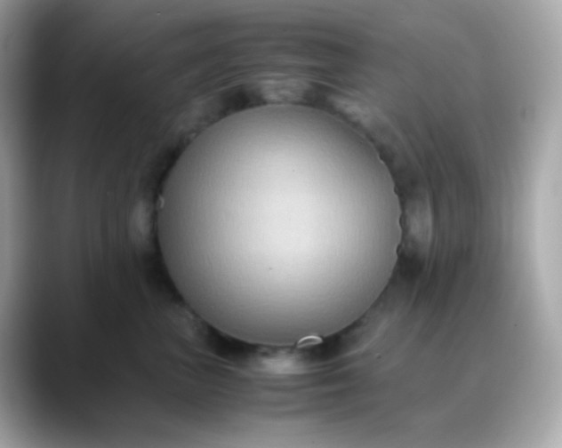 X0000088400667200706051137