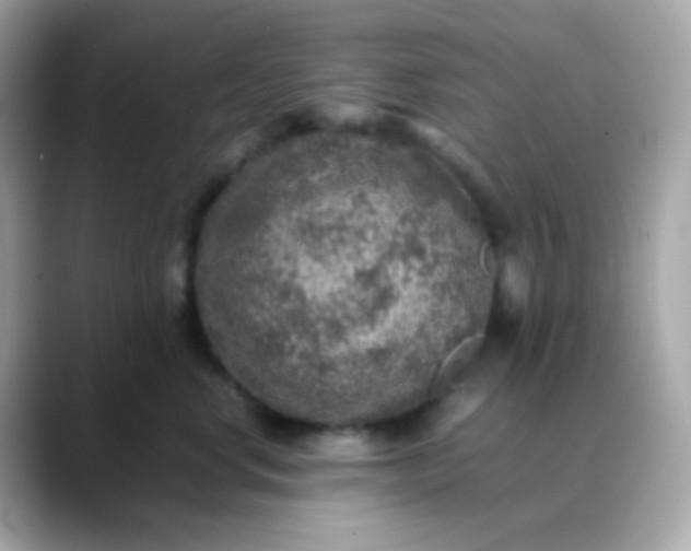 X0000088400668200706051137