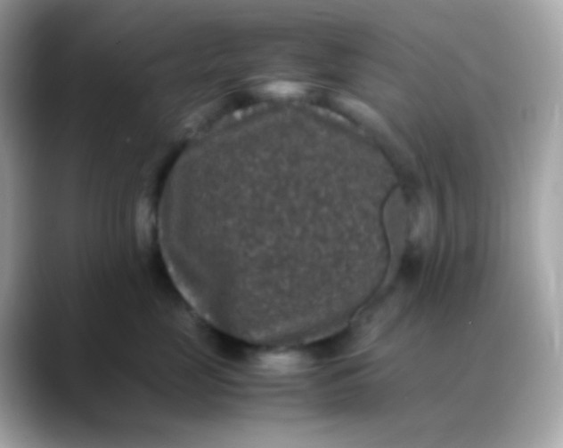 X0000088400669200706051137