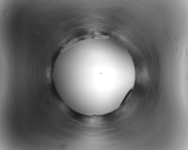 X0000088400670200706051137