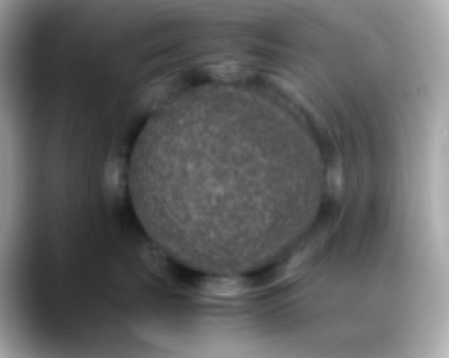 X0000088400671200706051137