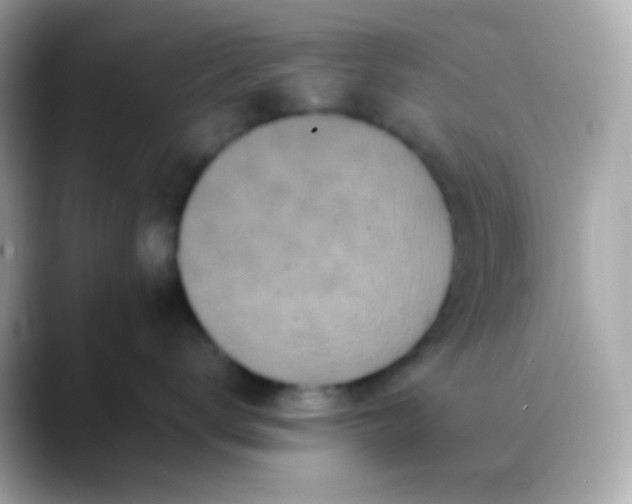 X0000088400672200706051137