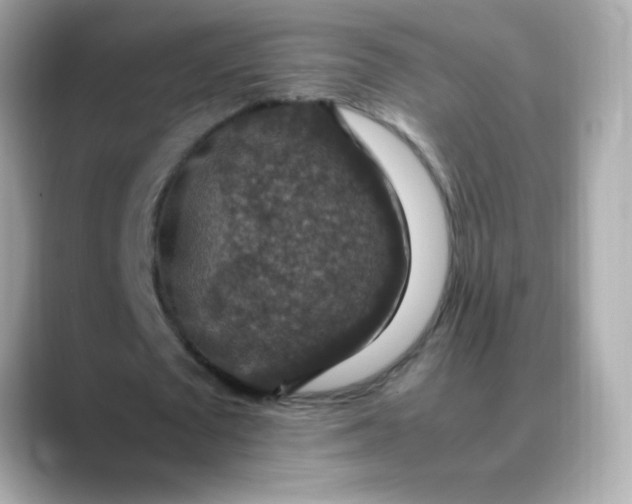 X0000088400673200706051136