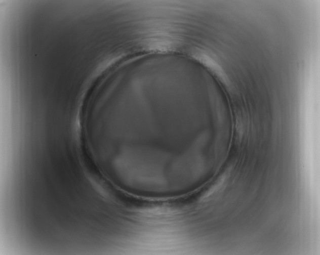 X0000088400674200706051136