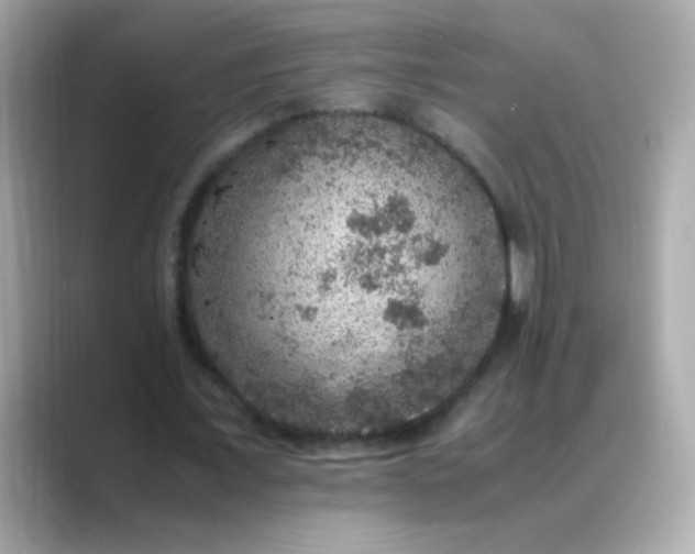 X0000088400675200706051136