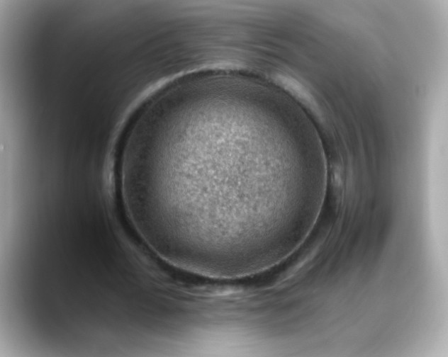 X0000088400676200706051136