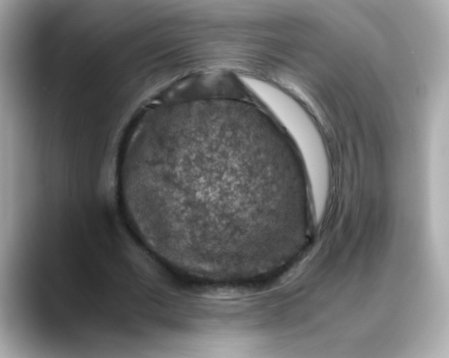 X0000088400677200706051136