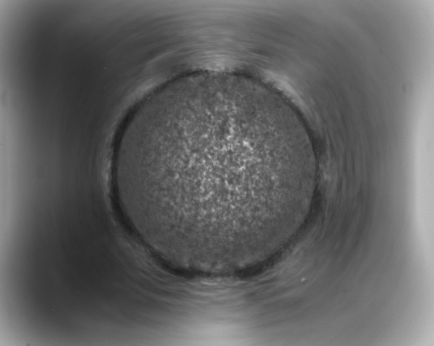 X0000088400679200706051136