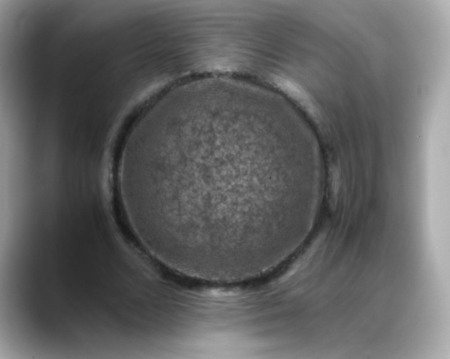 X0000088400680200706051136