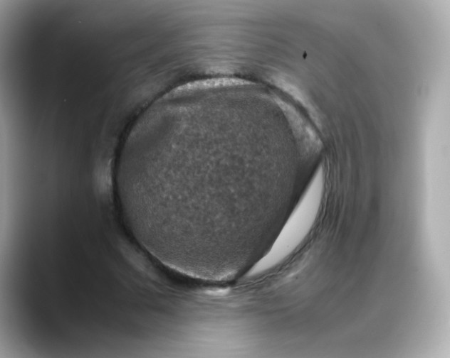 X0000088400681200706051136