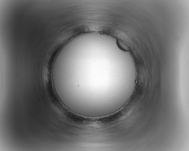 X0000088400683200706051136