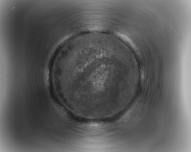 X0000088400684200706051136